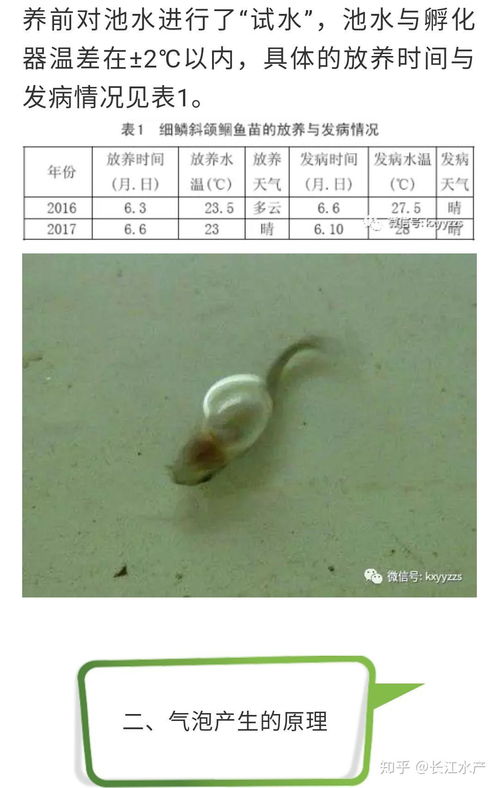現(xiàn)代養(yǎng)殖業(yè)的雙輪驅(qū)動(dòng) 工廠化循環(huán)水水產(chǎn)養(yǎng)殖與畜牧業(yè)養(yǎng)殖的協(xié)同發(fā)展